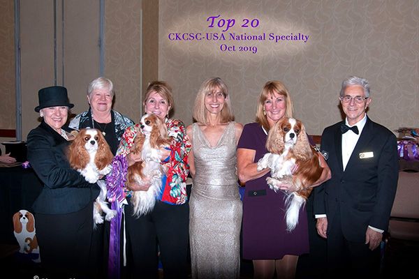 fb-img-15731109315198D016C80-F1C1-695F-50B6-AD4E9DDB7674.jpg